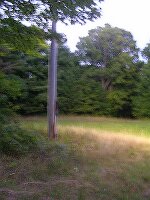 tn_Img1174